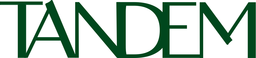 Tandem Learning Portal - Studio